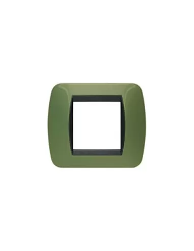 Bticino l4802vr 2-seater plate green drugstore living international